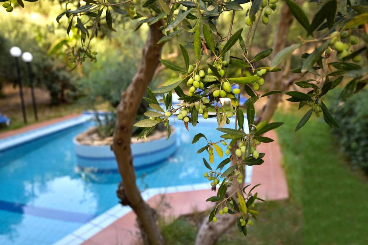 Olive Farm Βίλα Aγία Μαρίνα Εξωτερικό φωτογραφία