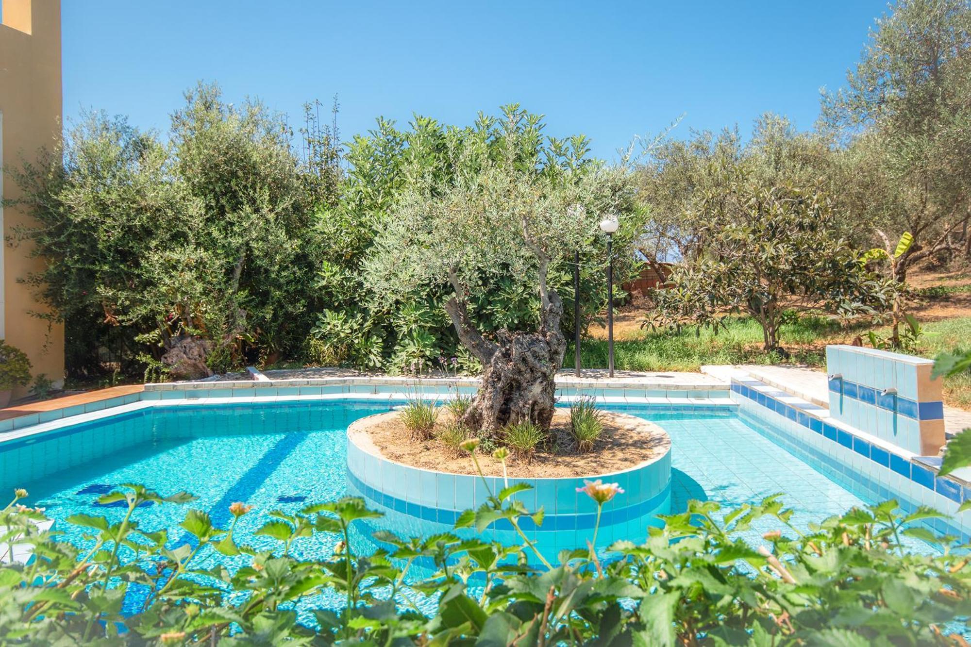 Olive Farm Βίλα Aγία Μαρίνα Εξωτερικό φωτογραφία